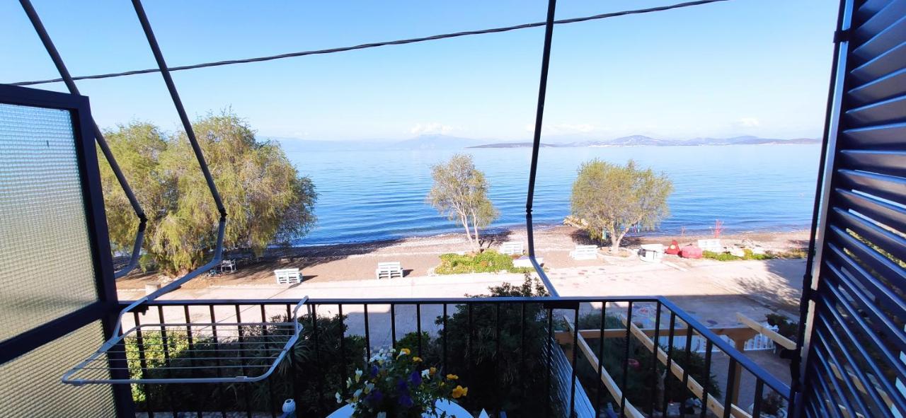 Apartment Vikos Paralia Irion